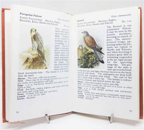 Birdwatching Guide Book Vintage Nature Hardback Ornothology Bird Book ...