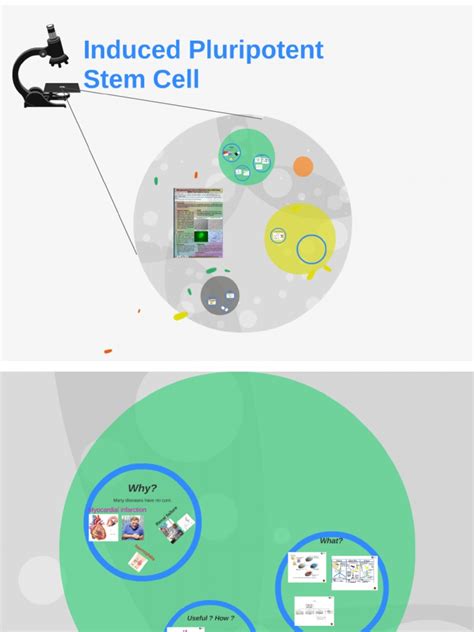 PDF Induced Pluripotent Stem Cell DOKUMEN TIPS