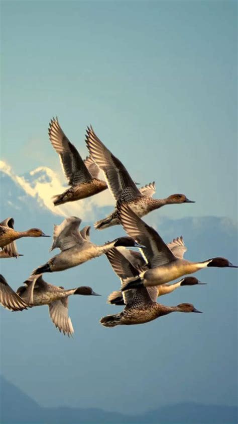 Dangerous Sex Positions That Can Lead To Sex Injuries