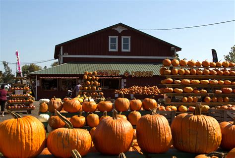 Test Home | The Great Pumpkin Farm