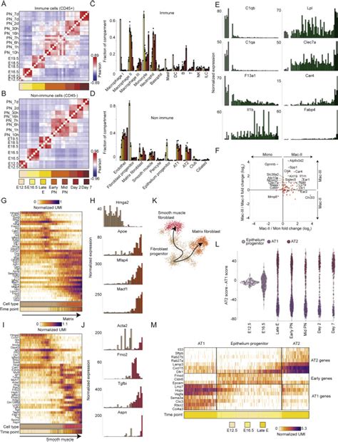 Lung Single Cell Signaling Interaction Map Reveals Basophil Role In