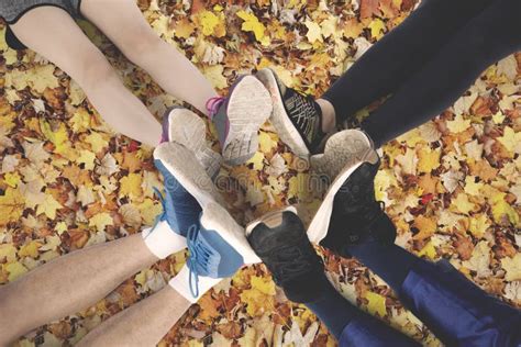 127 Friends Sitting Circle Park Stock Photos Free And Royalty Free