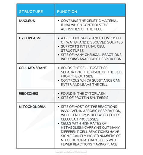 Edexcel Igcse Biology Double Science 复习笔记 1 2 2 Eukaryotic Organisms