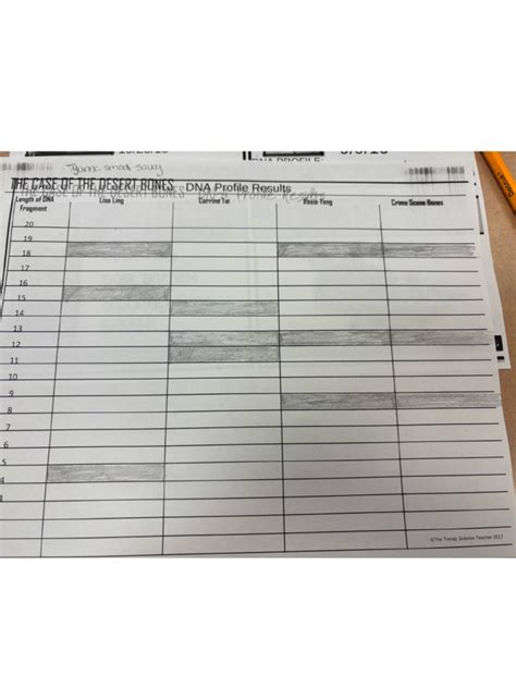 The Case Of The Desert Bones Answer Key