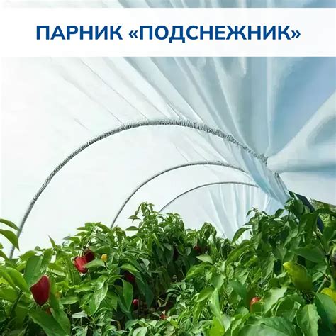 Мини-тепличка Теплица /, Спанбонд, ABS пластик купить c доставкой на ...
