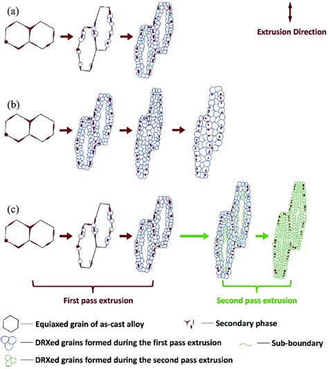 Schematic Diagram Of The Microstructure Evolution During Different Download Scientific Diagram