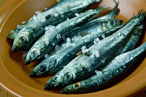 Surstromming Swedish Sour Herring Stock Photo - Image of herring ...