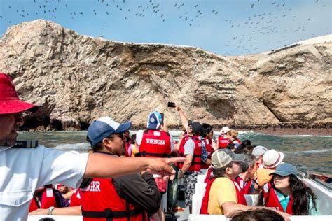 Speedboat Tour Of The Palomino Islands Swim With Sea Lions