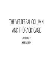 Understanding The Vertebral Column And Thoracic Cage Bones And