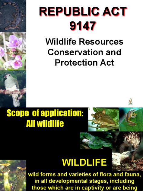 Republic Act 9147 Wildlife Resources Conservation And Protection Act