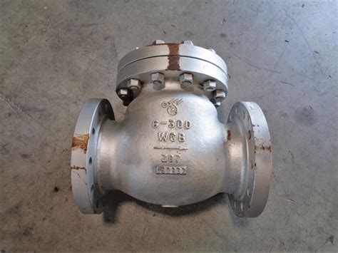 DSI 6 300 WCB Swing Check Valve Fig 149 XU