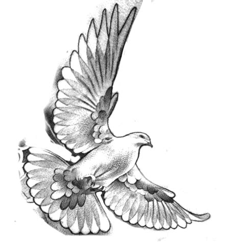 A Black And White Drawing Of A Bird Flying