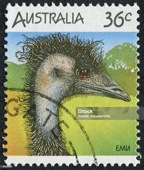 Emu Stamp Stock Photo Download Image Now Postage Stamp Australia