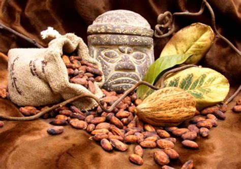 Los Mayas Asociaron Al Cacao Con El Inframundo Unam Global Cacao