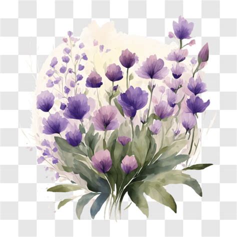 Descarga Flores De Acuarela Moradas Sobre Fondo Negro Pngs En L Nea