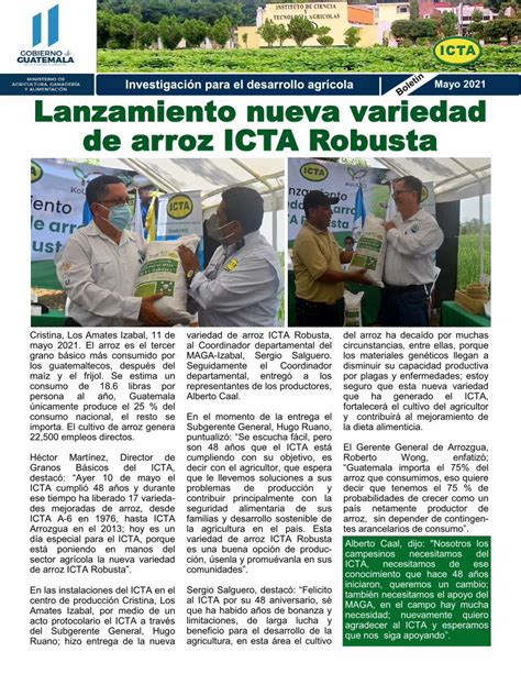 Pdf Mayo Lanzamiento Nueva Variedad De Arroz Icta Robusta