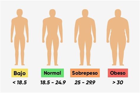 Imc Qué Es Fórmula Calculadora Y Resultados Tua Saúde