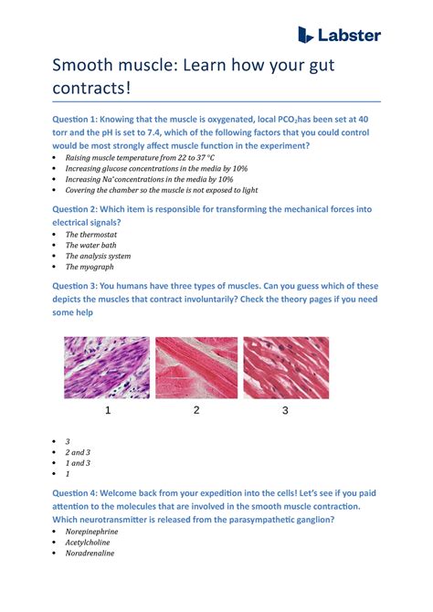 Questions Smooth Muscle Learn How Your Gut Contracts Smooth Muscle