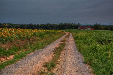 Dr. John's Jottings: A Parable of Unusual Ingredients