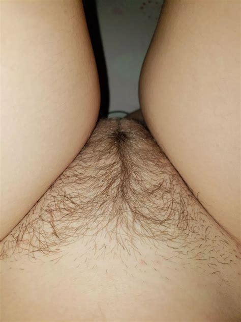 My Hairy Sweet Pussy Nudes Thefullbush Nude Pics Org