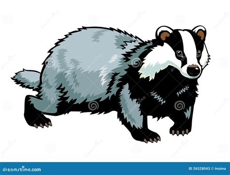 Badger Cartoons, Illustrations & Vector Stock Images - 6819 Pictures to ...