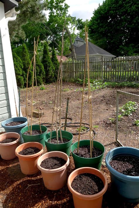 Less Noise More Green Making Garden Teepees