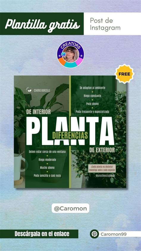 Plantilla Gratis Y Editable En Canva Post De Instagram Diferencias