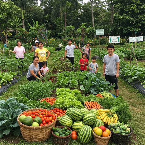 Community Organic Vegetable Gardens | SALIKA Agriculture Cooperative