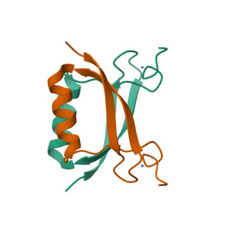 RCSB PDB 2B9D Crystal Structure Of HPV E7 CR3 Domain