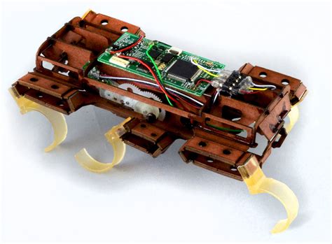 The World's New Second Fastest Robot Is A Tiny Cardboard Cockroach