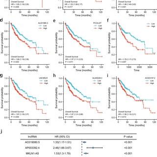 Prognostic Analysis Of Pyroptosis Related Lncrna Signature In The