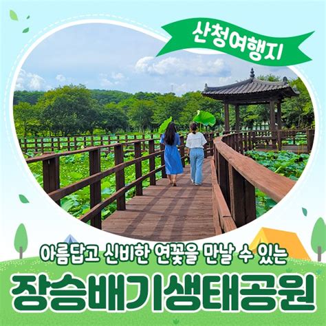 경남 산청 여름 나들이하기 좋은 곳 산청 장승배기생태공원 경상남도 산청군 웰로