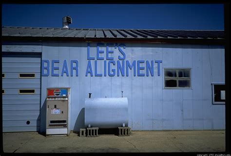 lees-bear-alignment-86