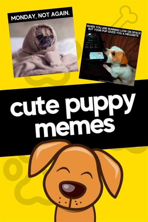 25 Cute Puppy Memes To Melt Your Heart