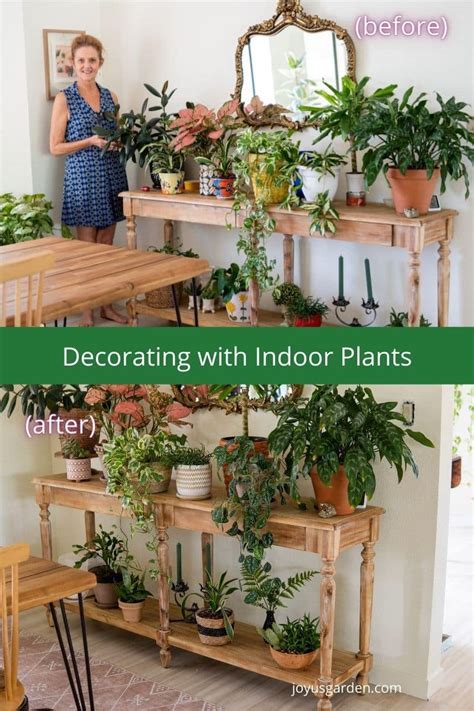 Decorating With Indoor Plants How To Style Plants On A Table