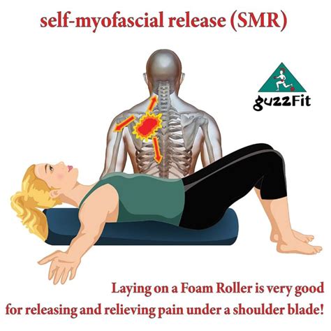 Scapula Myofascial Foam Roller Release Guzzfit