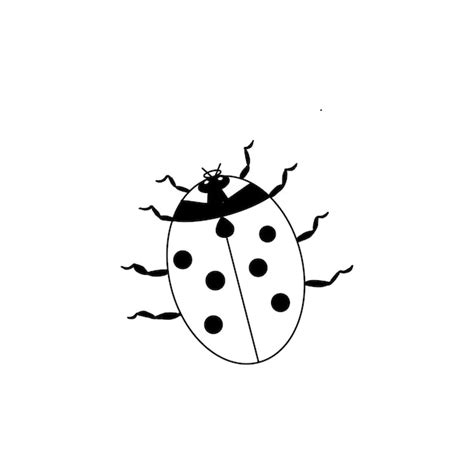 Un Dibujo En Blanco Y Negro De Una Mariquita Vector Premium