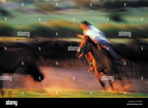 Mongolian horse racing hi-res stock photography and images - Alamy