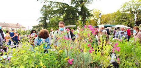 Villeneuve sur Vère Embellissez vos maisons et jardins en allant à la