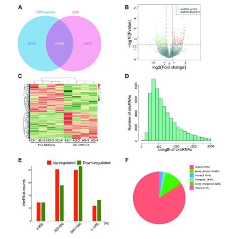 Differential Expression Profiles Of Circrnas In Hd Bmscs And As Bmscs