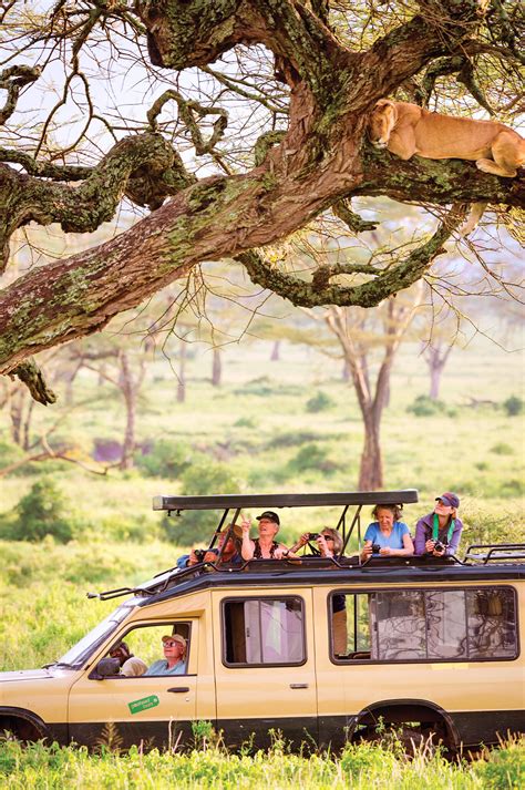Unhidden gems: 5 Best-Kept Secrets on our Safari Tours | EF Go Ahead Tours
