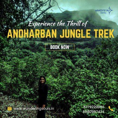 Monsoon Trek To Andharban The Dark Jungle Tickets Andharban Mumbai