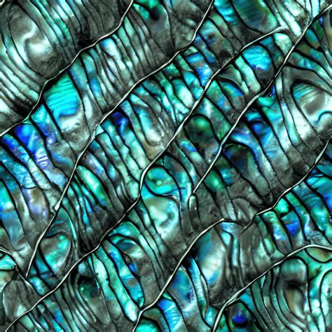 Abalone Shell Paua Shell Texture Pattern Creative Fabrica