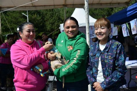 Gobierno Del Edom X Realiza Jornada De Adopci N Canina Y Felina El