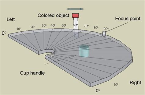 Now You See It Now You Dont Test Your Peripheral Vision Science