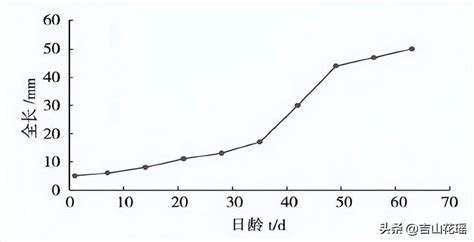 许氏平鲉提早繁育技术养殖鱼苗繁殖