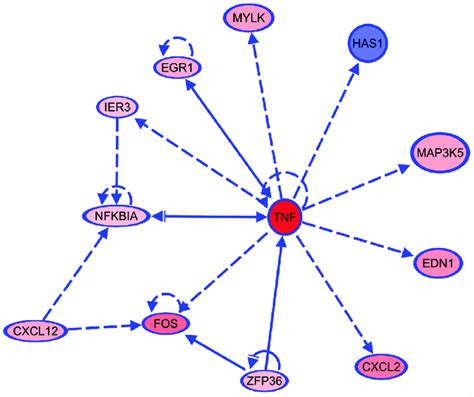 Tnf Is An Upstream Regulator Of Ten Of The Differentially Regulated