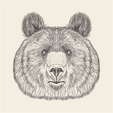 Trendy Bear Head 13466313 Vector Art at Vecteezy