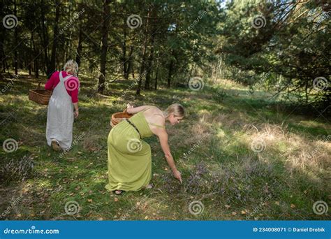 Two Women Are Picking Mushrooms In The Woods Stock Image Image Of