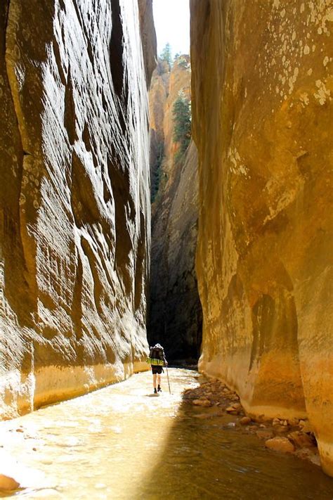 Top-down hike in the Virgin Narrows at Zion National Park. | National ...